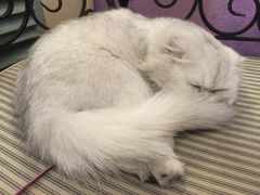 -广州迷途主题旅馆(海珠广场店)