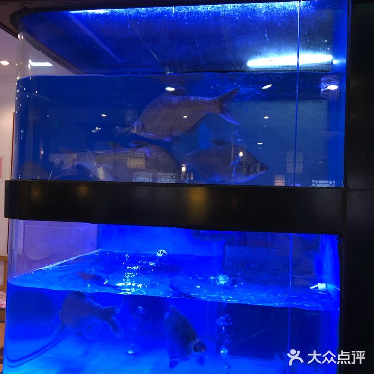 黄鹤楼旁‼️很有点东西，逛完了直接到这家吃饭！