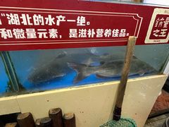 -集草轩·重庆麻辣烤鱼(西湖道店)