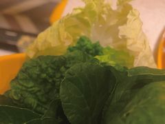 -润园四季椰子鸡火锅(海上世界店)