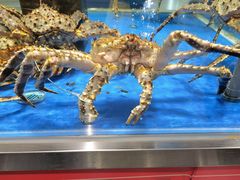 -盒马鲜生(龙德广场店)