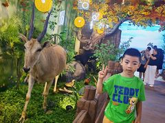 -西霞口神雕山野生动物世界