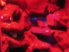 店内环境-中国工商银行(北京苏州街支行)