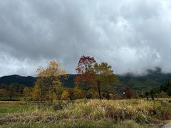 -塔川景区