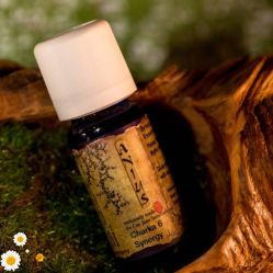 点击看大图 -芳香乐府SPA·五行芳疗