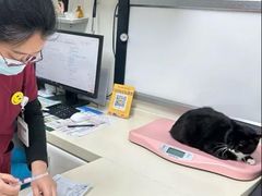 -宠颐生中康贝怡动物医院