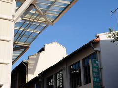 -新加坡佛牙寺龙华院