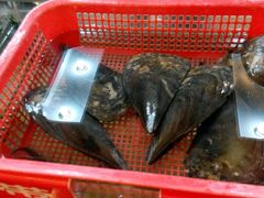 -南庄酒家·海鲜粤菜·25年老字号(环城南路店)