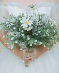 点击看大图 -索菲亚摄影会所