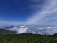 -白草畔自然风景区