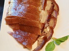 -正德楼果木烤鸭·渔家菜(东港店)