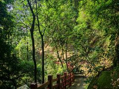 -缙云山景区