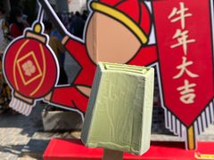 -钟薛高(南头古城店)