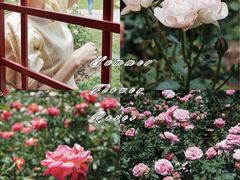 -人民公园(罗湖区)