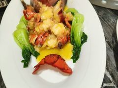 -碧丽宫大酒店(召稼楼店)