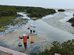 -北海金海湾红树林生态旅游区