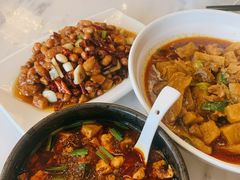 -陈麻婆豆腐总店