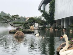 -罗红摄影艺术馆