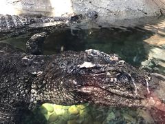 -波塞冬旅游度假区