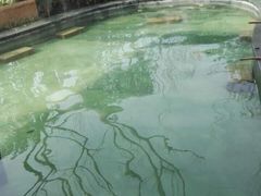 -苏州湾王焰温泉度假酒店