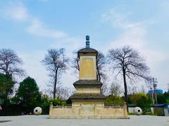 -西安青龙寺遗址景区