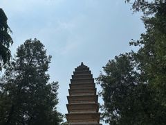 -洛阳白马寺