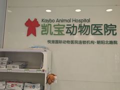 -悦宠凯宝动物医院·牙科·皮肤科(朝阳北路店)