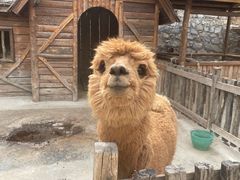 -幽岚山·童话森林