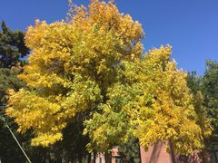 -中国人民大学游泳馆