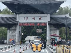 -紫鹊界梯田景区
