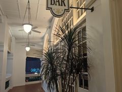 -Long Bar(莱佛士酒店)