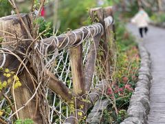 -上海野生动物园