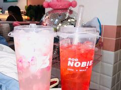-NOBiBi