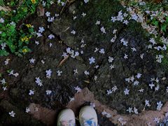 -武夷山风景名胜区-虎啸岩