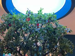 -悦海·家宴·冰花皮皮虾大锅贴(宝龙店)