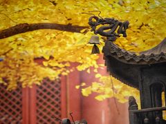 -红螺寺