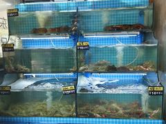 -老东镇啤酒屋海鲜加工·蒸汽海鲜·海鲜烧烤(台东店)