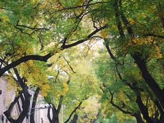 -东华门大街小区