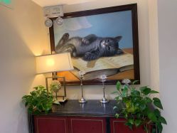 -咪咪比基尼脱毛专业店