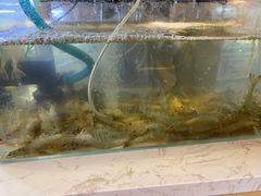 -旺龙巷重庆脆毛肚火锅·潜山扛把子店(潜山商业街店)