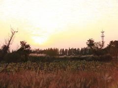-良渚古城遗址公园