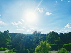 -国家植物园南园