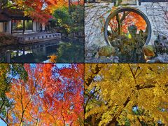 -惠山古镇·寄畅园