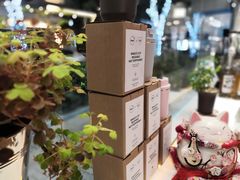 -Manner Coffee(大宁国际商业广场店)