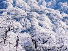 -梵净山旅游区