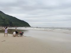 -西涌国际滨海旅游区