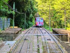 -神户市立六甲山牧场