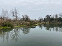 -桤木河湿地公园