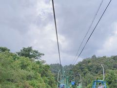 -野象谷景区