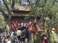 -普陀山风景名胜区-法雨禅寺